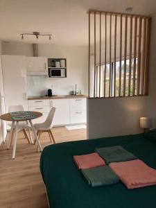 uma sala de estar com um sofá verde e uma mesa em Studio avec Piscine em Saint-Médard-en-Jalles