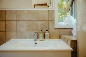 a bathroom sink with two soap bottles on it at Kaimata Cozy in Dunedin