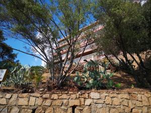 a stone wall with trees in front of a building at barbiccaja in Ajaccio