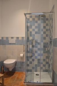 a bathroom with a glass shower with a toilet at Agriturismo Il vecchio mandorlo in Castiglione della Pescaia