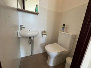 a small bathroom with a toilet and a sink at Achthoek78, rustige ligging minuten van het strand in Scharendijke +16 photos