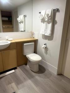 een badkamer met een toilet, een wastafel en een spiegel bij Ocean Views - Top floor in Alexandra Headland