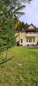 a house with a tree in front of a yard at PENSIUNEA HARTAGU in Baile Siriu