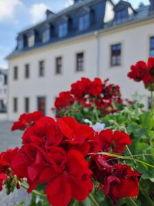 kilka czerwonych kwiatów przed budynkiem w obiekcie Pension Rio w mieście Schneeberg