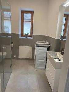 La salle de bains est pourvue d'une douche, d'un lavabo et de toilettes. dans l'établissement Altes Winzerhaus in der Wachau - neu renoviertes Haus mit Terrasse, à Dürnstein