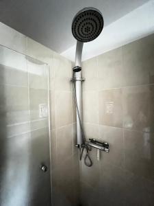 a shower with a shower head in a bathroom at Rosenfeld 2 in Pinneberg