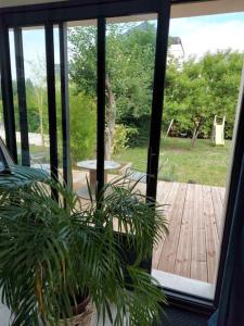 a potted plant in front of a sliding glass door at Gite lumineux de 45m2 en cœur de ville in Saint-Avertin