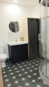 ein Bad mit einer Dusche, einem Waschbecken und einem WC in der Unterkunft Gite lumineux de 45m2 en cœur de ville in Saint-Avertin