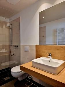 ein Badezimmer mit einem Waschbecken, einem WC und einem Spiegel in der Unterkunft Pension Rio in Schneeberg
