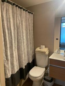 a bathroom with a toilet and a shower curtain at 24 metros Clínica las Condes in Santiago