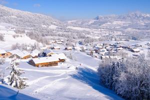 un piccolo villaggio ricoperto di neve con montagne sullo sfondo di HEUBERG 1014 - FERIEN - Wohnen a Schwarzenberg im Bregenzerwald