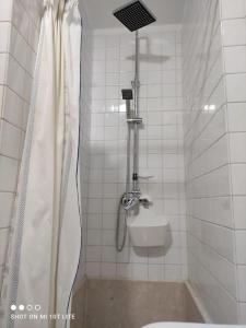a bathroom with a shower and a toilet in it at Boa Vista Playa As Sinas en Vilanova de Arousa in Villanueva de Arosa