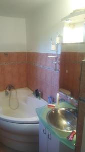 a bathroom with a tub and a sink and a toilet at SUBASA GREEN GARDEN in Szeged +21 photos