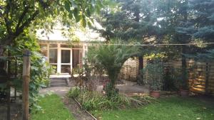 a garden with a palm tree in front of a house at SUBASA GREEN GARDEN in Szeged