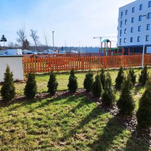 a row of trees in a yard next to a fence at Apartamenty Akademicka przy Onkologii 2 in Bydgoszcz