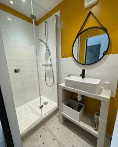 ein Bad mit einer Dusche, einem Waschbecken und einem Spiegel in der Unterkunft L'Annexe Amiens in Amiens