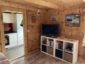 sala de estar con paredes de madera y TV en una habitación en Bauernhaus Cafrida, en Flumserberg