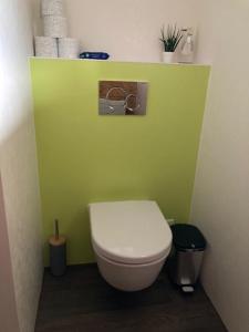 a bathroom with a white toilet in a green wall at Bauernhaus Cafrida in Flumserberg