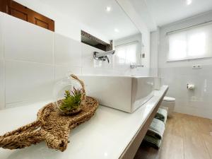 ein weißes Badezimmer mit einem Waschbecken und einer Pflanze auf der Theke in der Unterkunft MalagadeVacaciones - Casa pulpo in Málaga