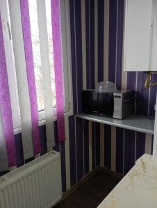 ein Zimmer mit einer Mikrowelle auf einem Regal neben einem Fenster in der Unterkunft Apartament cu 2 odai in chirie or.Soroca in Soroca