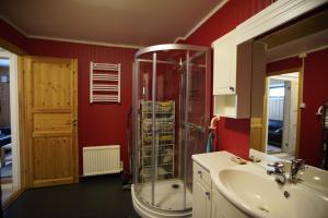 a bathroom with a glass shower and a sink at Small apartment Havøysund in Havøysund