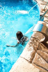 un perro nadando en una piscina en una piscina en Hotel Victoria Playa, en Almuñécar