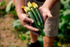 a person holding a bunch of zucchini at Hotel Hvala Superior - Topli Val in Kobarid