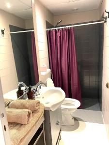 a bathroom with a sink and a toilet and a shower at Apartament in Principe Real in Lisbon