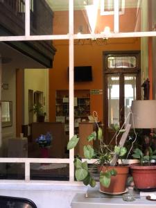 Derby Home Hotel في بوينس آيرس: مجموعة من النباتات الفخارية الموجودة على الطاولة