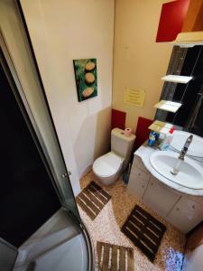 a small bathroom with a toilet and a sink at "L'humble Boutique" du Bassin in La Teste-de-Buch