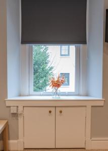 a window with a vase of flowers on a kitchen counter at Union Street Suites in Kelso