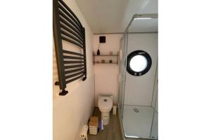 małą łazienkę z toaletą i przeszkloną kabiną prysznicową. w obiekcie Hausboot Fjord HAVEN mit Biosauna in Barth w mieście Barth