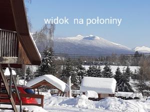 Widok v zime