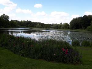 un grand lac avec des fleurs dans l'herbe dans l'établissement Ferienwohnung im Zentrum, à Bad Schwartau