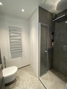 a bathroom with a toilet and a glass shower at J. Ralio apartamentai (monkey) in Vilnius