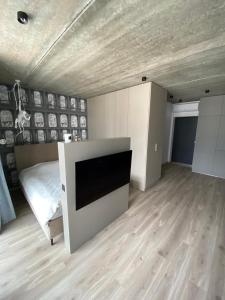 a bedroom with a bed and a tv in it at J. Ralio apartamentai (monkey) in Vilnius