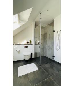 uma casa de banho com uma cabina de duche e um WC. em ApartmentInCopenhagen Apartment 158 em Copenhague