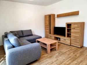 TV a/nebo společenská místnost v ubytování Ferienwohnung Gästehaus 1979