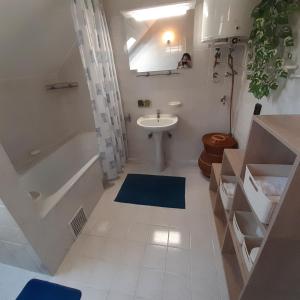 Vannituba majutusasutuses HANNA Apartman