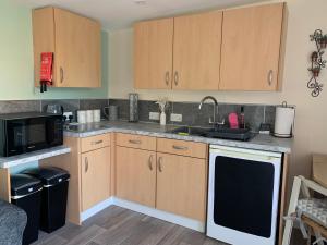 a kitchen with wooden cabinets and a sink and a microwave at Pet friendly, disabled friendly cabin close to the humber and immingham in Goxhill