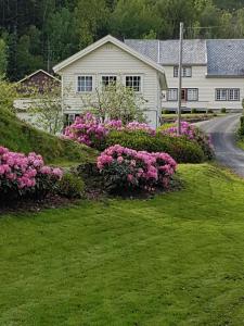 a house with pink flowers in front of a yard at Gepflegte Ferienhaus in der Region Ryfylke in Hebnes