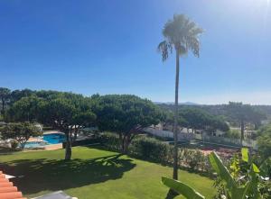 a palm tree in a yard with a pool at Beautiful apartment set in the heart of Quinta in Almancil