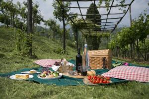 PalazzagoにあるAgriturismo Il Belvedereの毛布の上に食べ物とワインを添えたピクニック