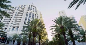a tall white building with palm trees in front of it at Loews Miami Beach Hotel in Miami Beach