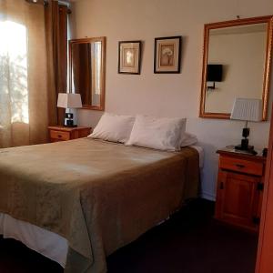 a bedroom with a large bed and a mirror at Acogedora Habitación en el Centro de Santiago in Santiago