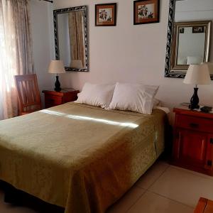 聖地亞哥的住宿－Acogedora Habitación en el Centro de Santiago，一间卧室配有一张带镜子的床和两盏灯。