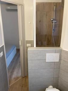 a bathroom with a shower and a toilet in it at Casetta Marconi Trentotto in Rome