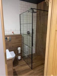a glass shower in a bathroom with a toilet at Anielski Zakątek in Kolonia Rybacka