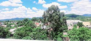 un grupo de árboles frente a una ciudad en Apartamentos El Mirador en El Carmen