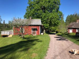 a red barn with a dog standing next to a dirt road at Mysig lantlig stuga, Nycklarör in Korsberga